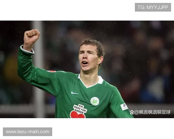 沃尔夫斯堡主场连败未解 霍芬海姆客场展现强势